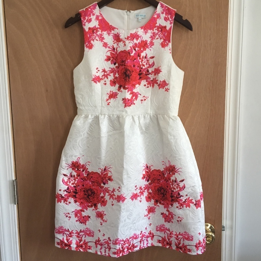 ⭐️3/$25 Blue Vanilla Printed Brocade Fit & Flare